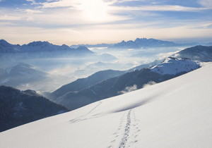 巴布亚新几内亚石林：神秘大自然的魔幻迷宫