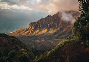 测试正确的字段名